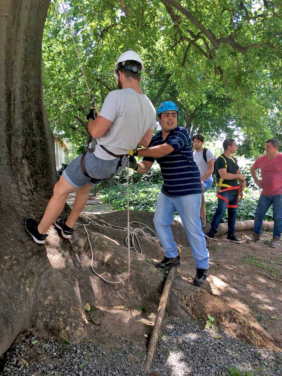 Seguridad en altura: capacitación de la mano de especialistas